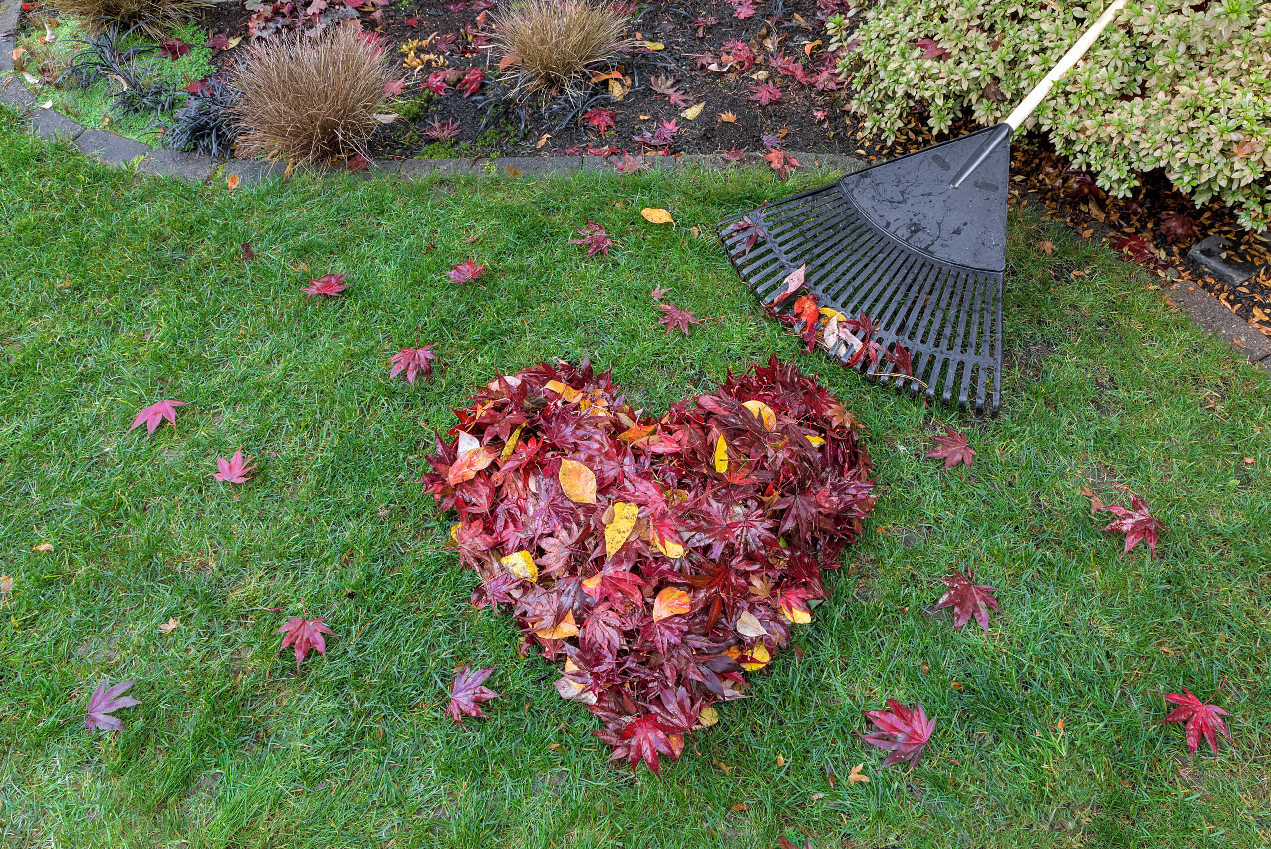 Gardening Jobs To Do In Autumn – Essential Tips When Selling