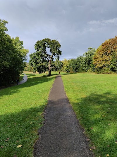 Whetstone Stray