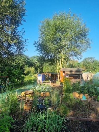 North Finchley Allotments