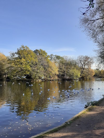 Tooting Bec Common