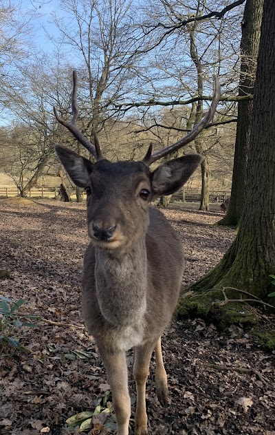 Deer Park