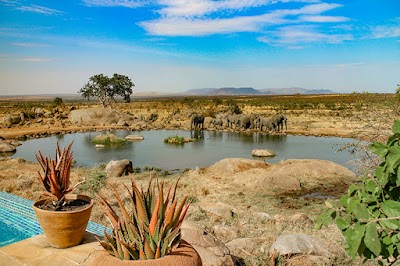 Safarihub