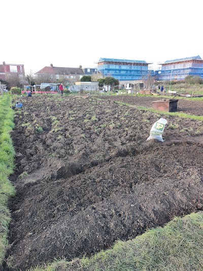 Goodmayes Lane Allotments
