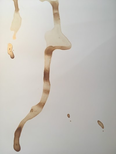 James Hodgson Art \ Performance