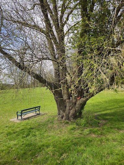 Alfie's memorial