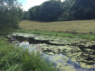 Langham Pond
