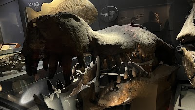 International Commission On Zoological Nomenclature
