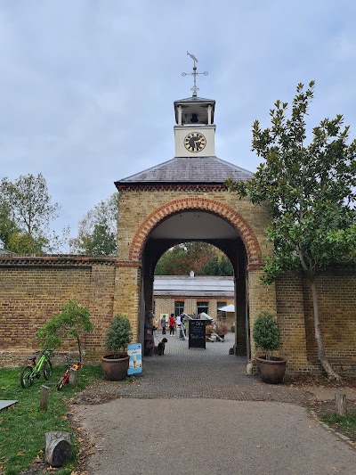 National Trust - Morden Hall Park