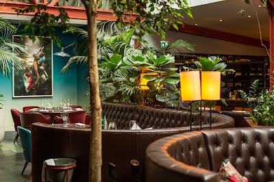 Bluebird Chelsea
