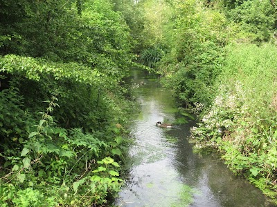 Wilderness Island, London Wildlife Trust