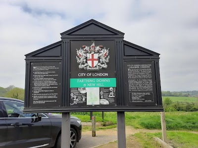 Farthing Downs