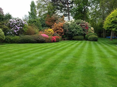 TruGreen Epsom