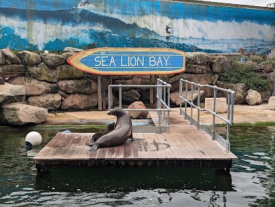 Sea Lion Bay