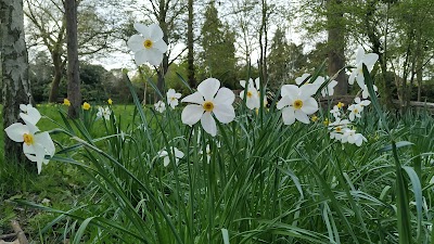 Shadbolt Park