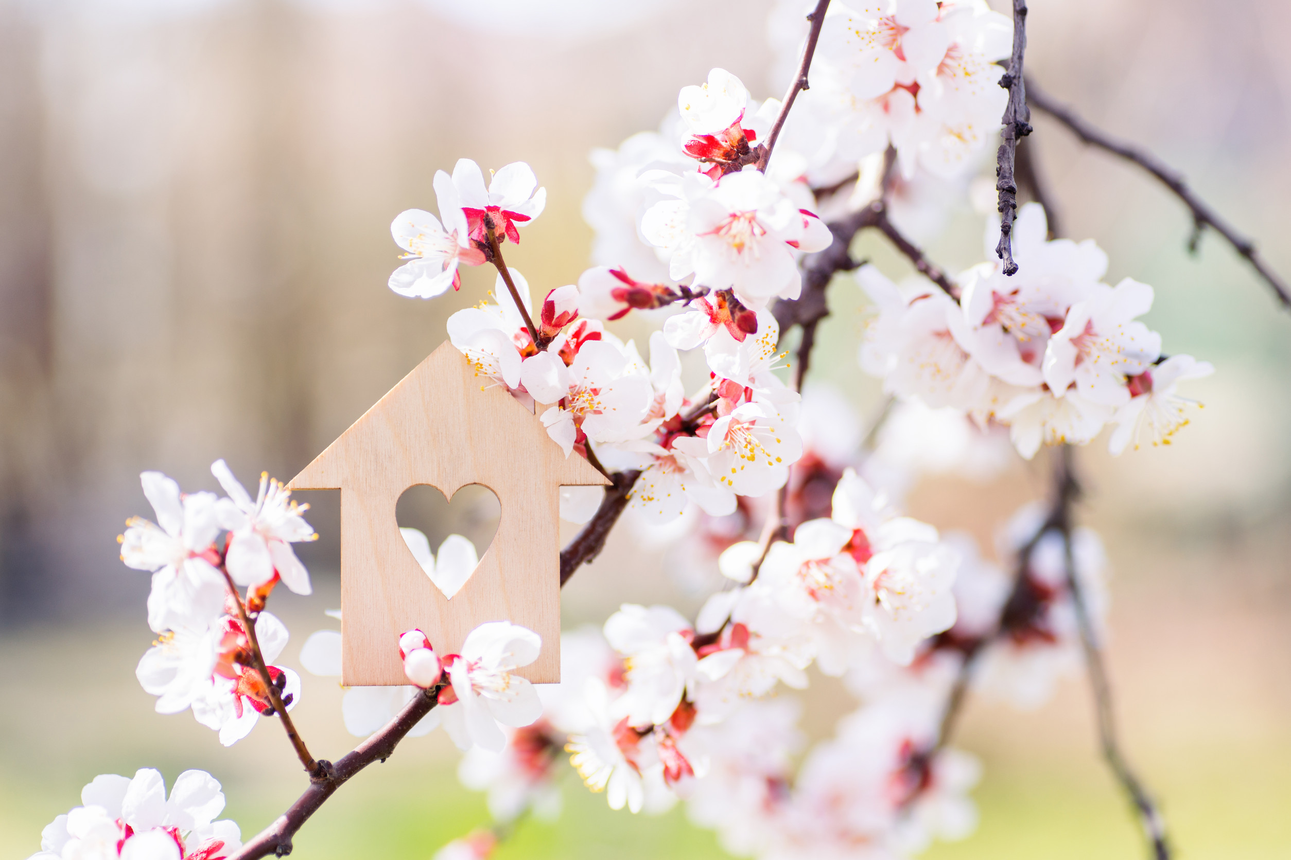 May 2025 Property Market Update